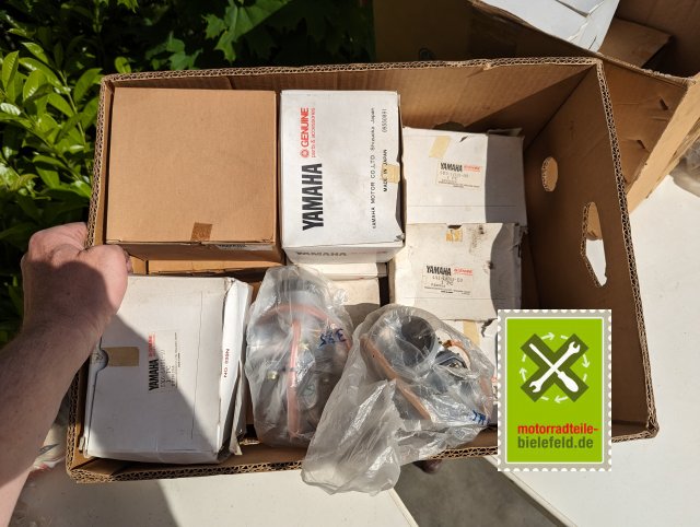 PXL_20240517_150354821